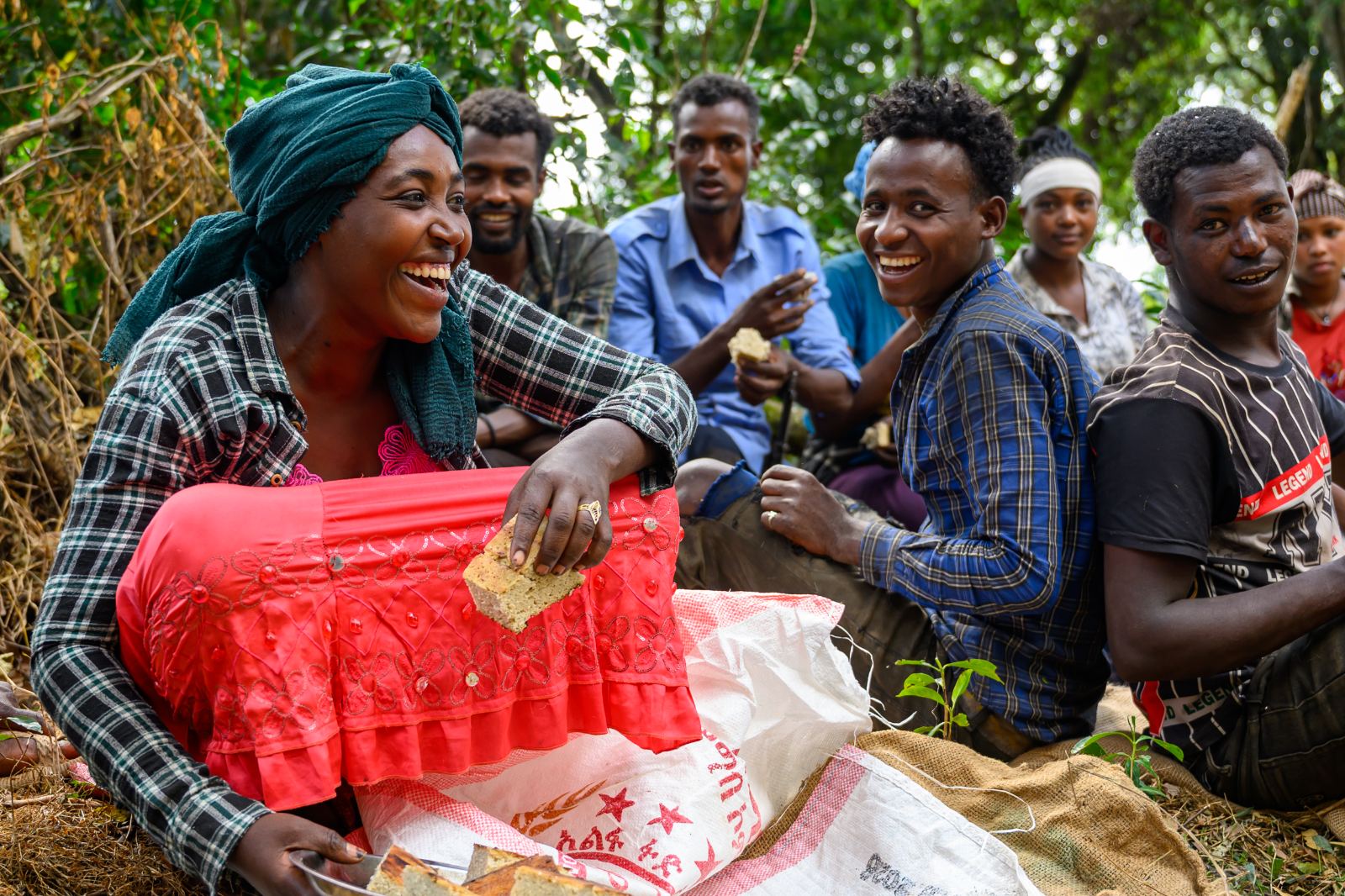 Bread and laughter at the harvest break