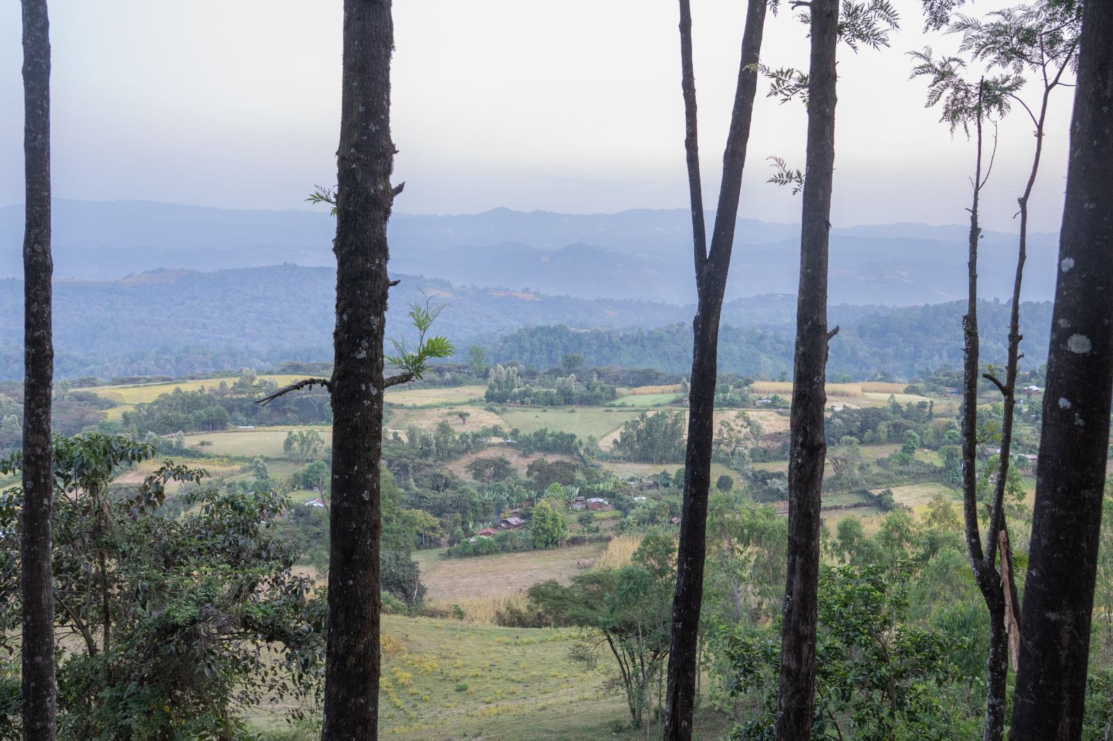 The valley below Mount Unchu